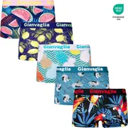 5-PACK Dámských nižších boxerek Tropy 8872