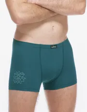 Výhodné balení 5 kusů - Boxerky kratší nohavička 73135P